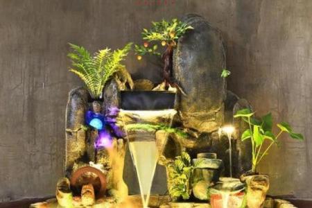 风水鱼池招财植物推荐及其养护要点