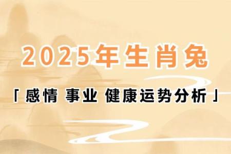 六月运势报告：属相影响下的事业与感情走向