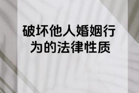 争夫命与恶夫命的深层含义解析及其对婚姻的影响