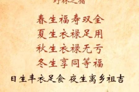 火兔命的命理解读与生活影响