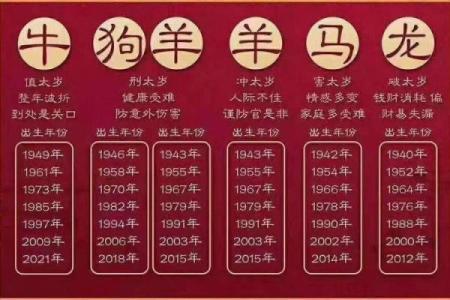 运势预测：不同生肖的福运与劫难