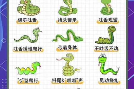 蛇猴配对：性格互补还是冲突？