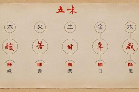 脚踏五行，开启人生的五大能量之门