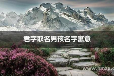 君和哪些字最搭配，打造独特名字组合