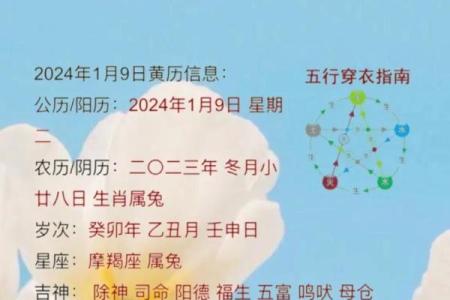 今日十二生肖运程：不同属相的幸运与挑战