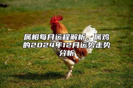 生肖鸡今日运程：感情运势平稳，事业有望突破