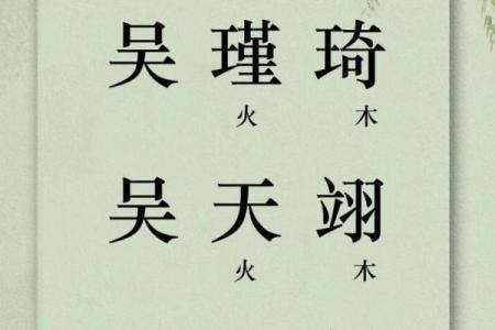 吴姓宝宝取名指南：为宝宝挑选一个有意义的名字