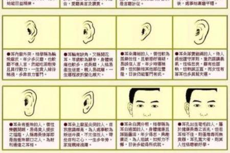 倒八字眉的男人面相解读：性格与命运的秘密揭秘