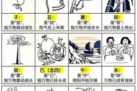蛇年男女相配的最佳组合与禁忌分析