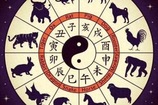 生肖运势指南:本月你的好运如何降临 生肖运势指南:本月你的好运如何降临