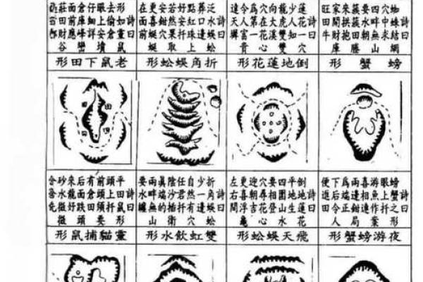 司马头陀风水在不同地理环境下的适应性 司马头陀风水在不同地理环境下的适应性