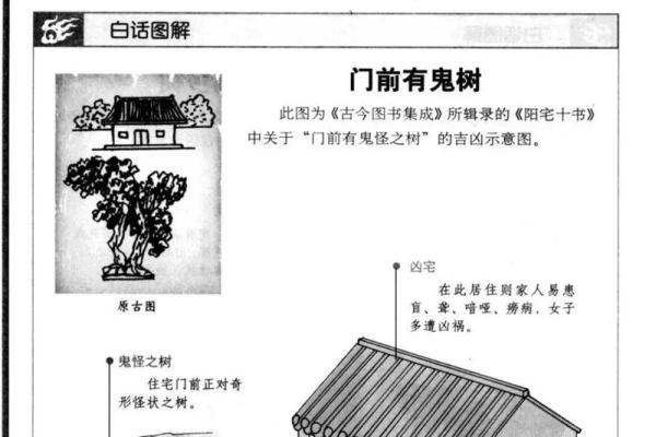 科学与传统结合:现代阳宅风水指南 科学与传统结合:现代阳宅风水指南
