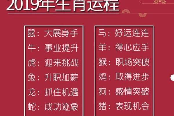 猪年财运与事业运的关键月份解析 猪年财运与事业运的关键月份解析