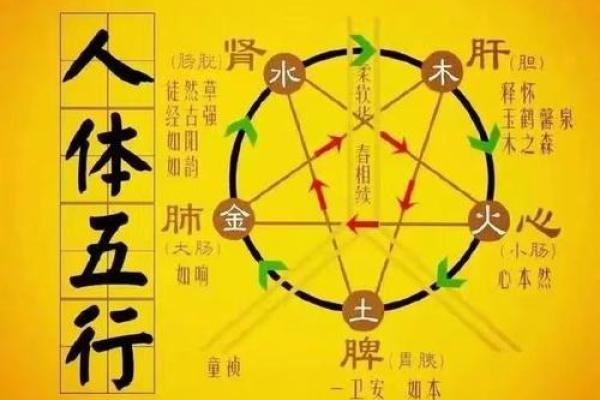 高宇泰五行揭秘:如何通过五行提升你的生活运势? 高宇泰五行揭秘:如何通过五行提升你的生活运势?