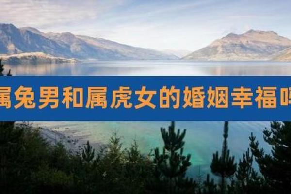属属兔与兔属虎的配与对解析属:虎这的段婚缘姻分匹是否配合度适如何?揭秘 属属兔与兔属虎的配与对解析属:虎这的段婚缘姻分匹是否配合度适如何?揭秘