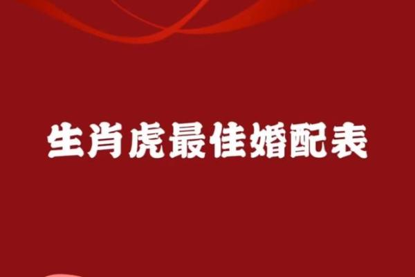 属属兔与兔属虎的配与对解析属:虎这的段婚缘姻分匹是否配合度适如何?揭秘 属属兔与兔属虎的配与对解析属:虎这的段婚缘姻分匹是否配合度适如何?揭秘