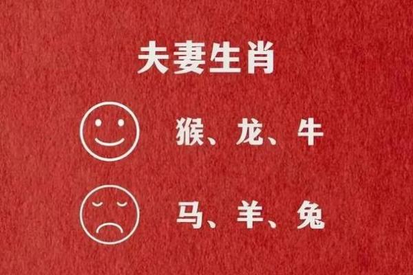 星座配对:兔男和马女是否注定一生幸福 星座配对:兔男和马女是否注定一生幸福