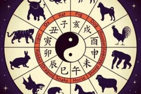 生肖运势指南：本月你的好运如何降临