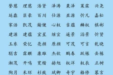 独特又有意义的单字男孩名字推荐
