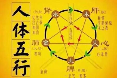高宇泰五行揭秘：如何通过五行提升你的生活运势？