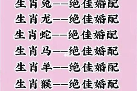 属马男与属龙女的爱情能否长久 适合相配吗