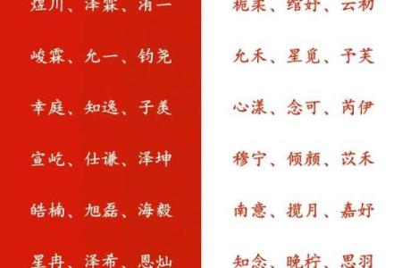 如何为宝宝取个合适的名字：未出生也能轻松选择的技巧