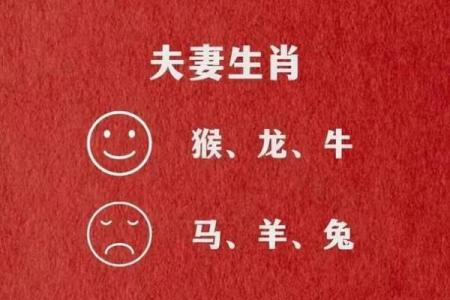 星座配对：兔男和马女是否注定一生幸福