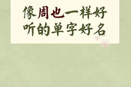单字名字的艺术性与简洁性结合