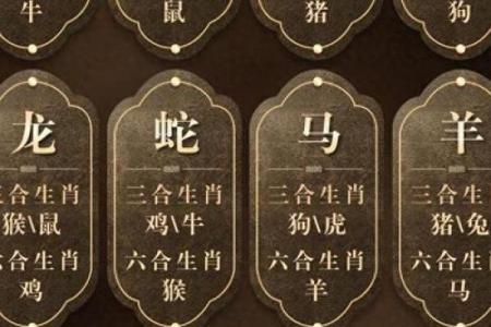 猪牛羊狗属于什么命的生肖解析与命理特点