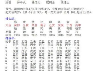 根据宝宝的生辰八字，帮孩子规划未来的成功之路