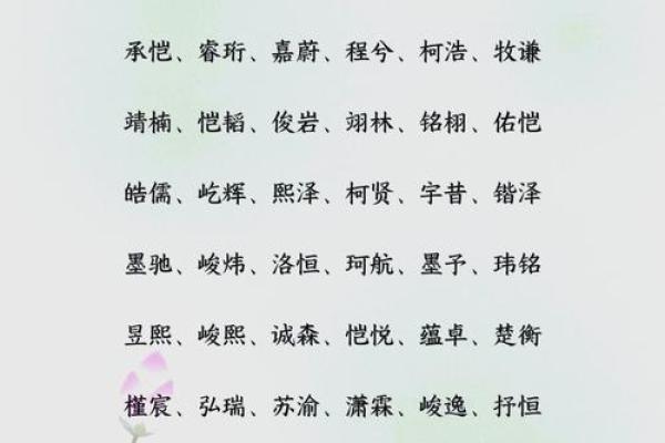 小名字男孩:从传统到现代的完美结合 小名字男孩:从传统到现代的完美结合