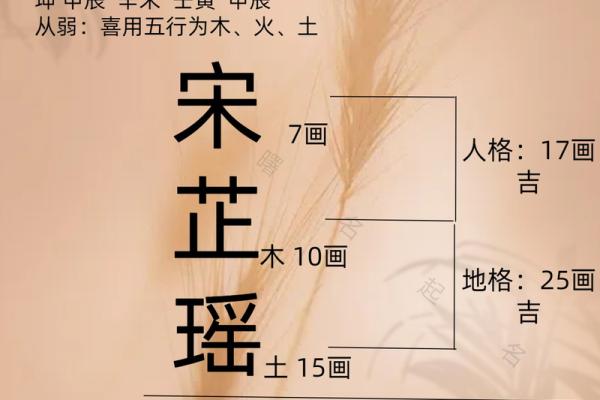 杨字名字的音韵搭配与吉凶分析