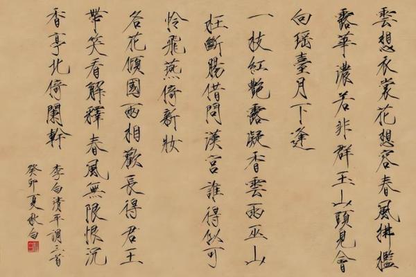 杨字名字的独特魅力与个性展现