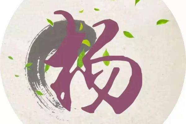 杨字名字的独特魅力与个性展现