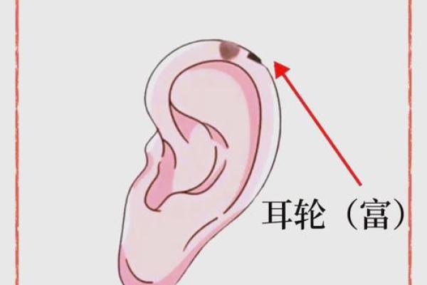 拥有皇后命的女人都有哪些独特的命运轨迹 拥有皇后命的女人都有哪些独特的命运轨迹