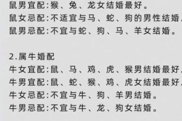 属狗和属鼠的搭配是否和谐?揭秘两者关系的奥秘 属狗和属鼠的搭配是否和谐?揭秘两者关系的奥秘