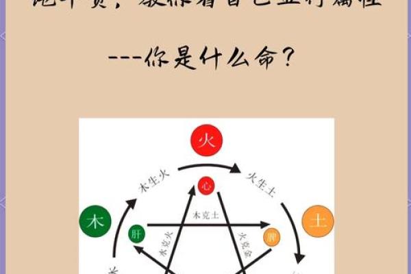 五行解读方法:如何通过五行理论提升生活智慧 五行解读方法:如何通过五行理论提升生活智慧