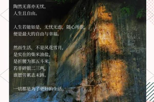 兮,寓意自由与宁静的名字选择 兮,寓意自由与宁静的名字选择