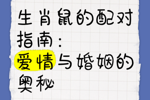 生肖鼠男和鼠女配对如何才能长久幸福 生肖鼠男和鼠女配对如何才能长久幸福