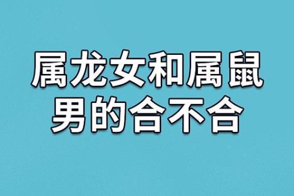 生肖鼠男和鼠女配对如何才能长久幸福 生肖鼠男和鼠女配对如何才能长久幸福