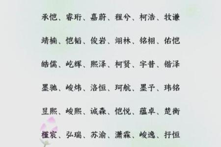 小名字男孩：从传统到现代的完美结合