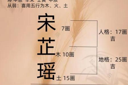 杨字名字的音韵搭配与吉凶分析
