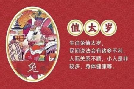 本命年属兔人的心理调节技巧