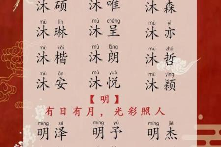 豆姓宝宝起名技巧：选择独特又吉祥的名字