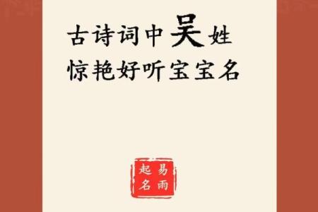 如何为男孩起名吴，彰显独特气质和文化底蕴