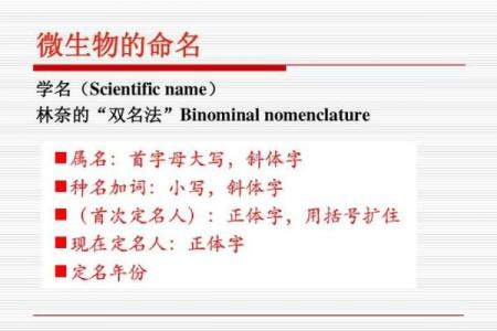 霍名字的音韵特点与命名学的关系