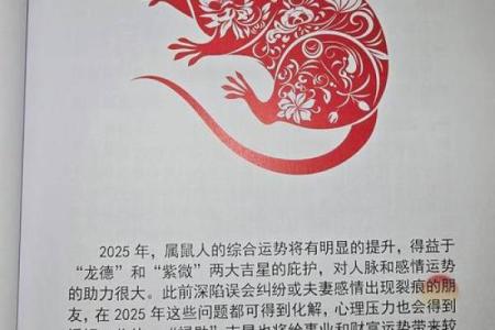 明日运势预测，生肖带来的生活启示
