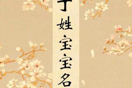 丁姓女孩名字推荐：既传统又现代的完美平衡