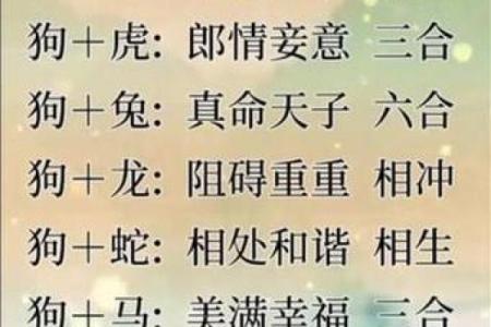 属猴男与属虎女的婚姻运势探讨