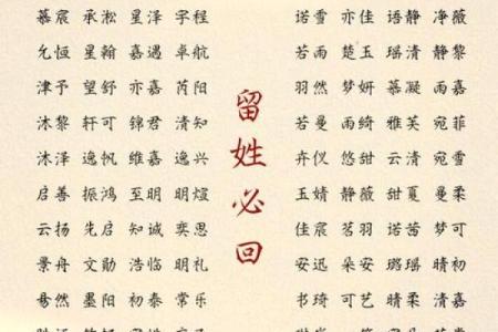 带佳的名字，蕴含着怎样的文化与力量？